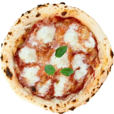 Pizza Margherita